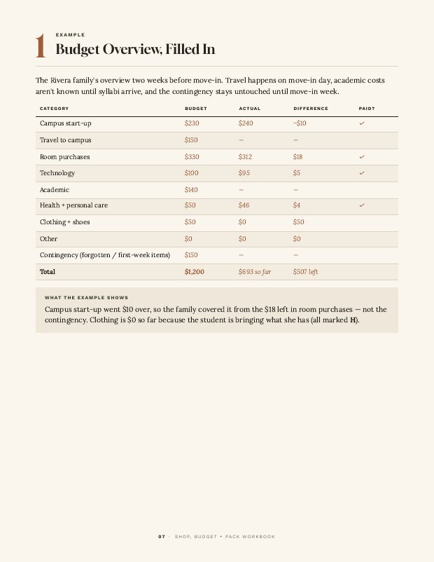 Budget Overview page from the Shop, Budget + Pack Workbook with a fictional filled example