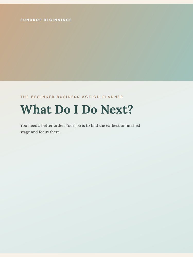 The Beginner Business Action Planner cover