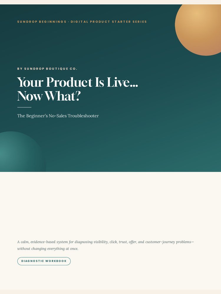 Your Product Is Live… Now What? cover